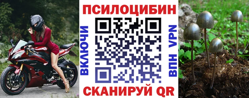 Галлюциногенные грибы прущие грибы  купить наркотик  Тулун 