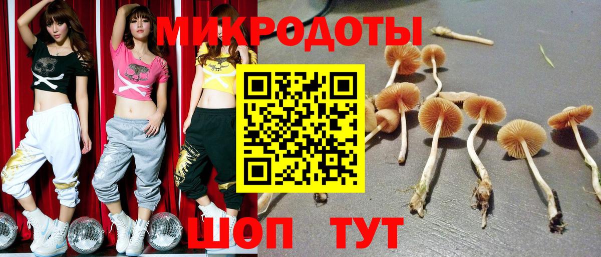 Галлюциногенные грибы прущие грибы Тулун