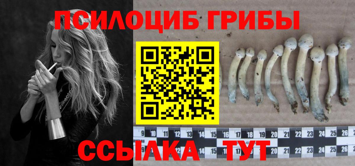 Галлюциногенные грибы мицелий  Вход с VPN  Тулун  Псилоцибиновые грибы прущие грибы 