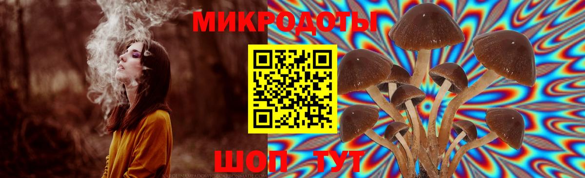 купить   Псилоцибиновые грибы GOLDEN TEACHER  Вход с VPN  Галлюциногенные грибы ЛСД  Тулун 