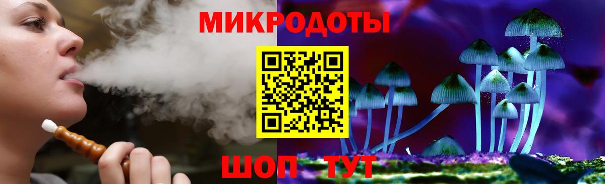 Галлюциногенные грибы Cubensis  Псилоцибиновые грибы мицелий  Тулун 